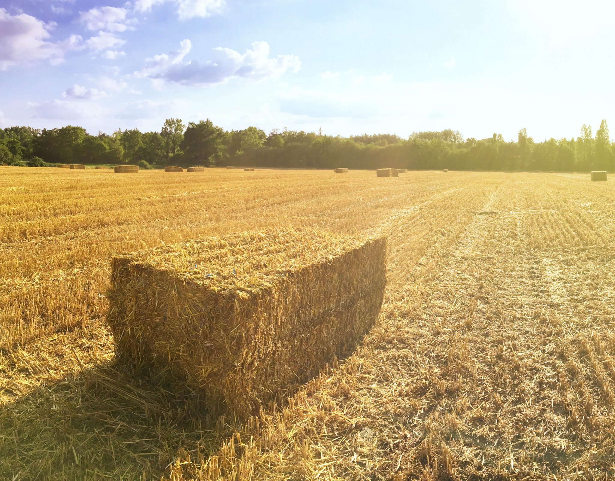 Ficelle agricole pour pisciculture - JSC Duguva